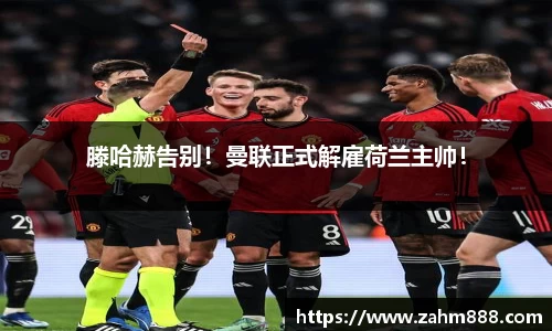 RAYBET雷竞技官网