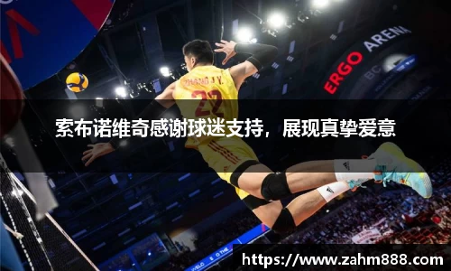 索布诺维奇感谢球迷支持，展现真挚爱意