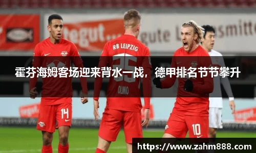 霍芬海姆客场迎来背水一战，德甲排名节节攀升