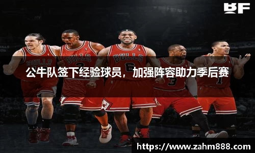公牛队签下经验球员，加强阵容助力季后赛