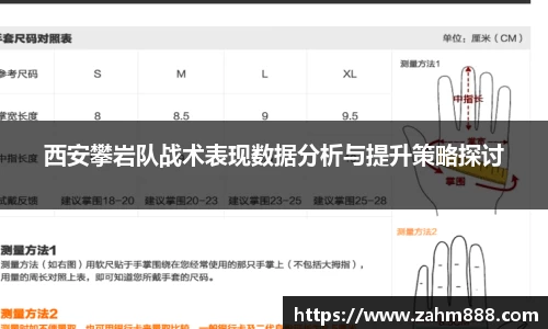 RAYBET雷竞技官网