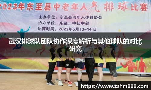 武汉排球队团队协作深度解析与其他球队的对比研究