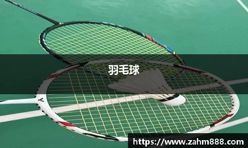 羽毛球