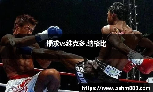 播求vs维克多.纳格比