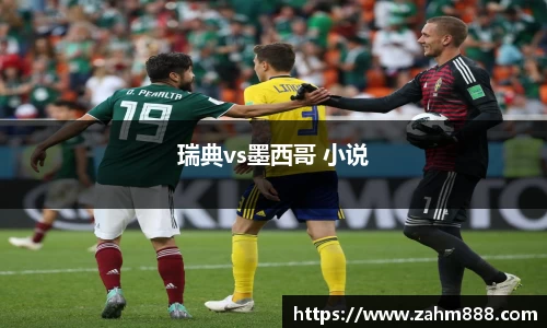 瑞典vs墨西哥 小说