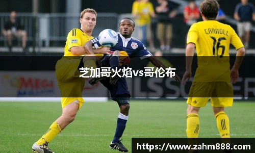 芝加哥火焰vs哥伦布