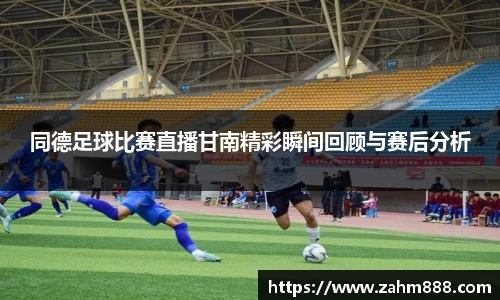 同德足球比赛直播甘南精彩瞬间回顾与赛后分析