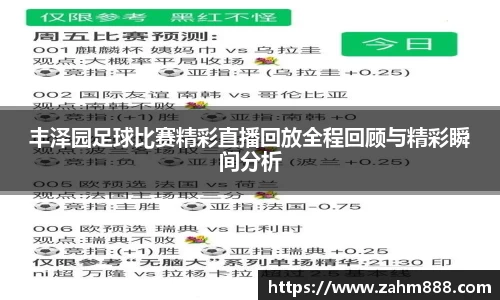 丰泽园足球比赛精彩直播回放全程回顾与精彩瞬间分析
