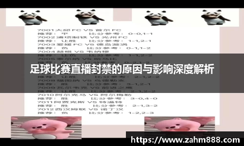 足球比赛直播封禁的原因与影响深度解析